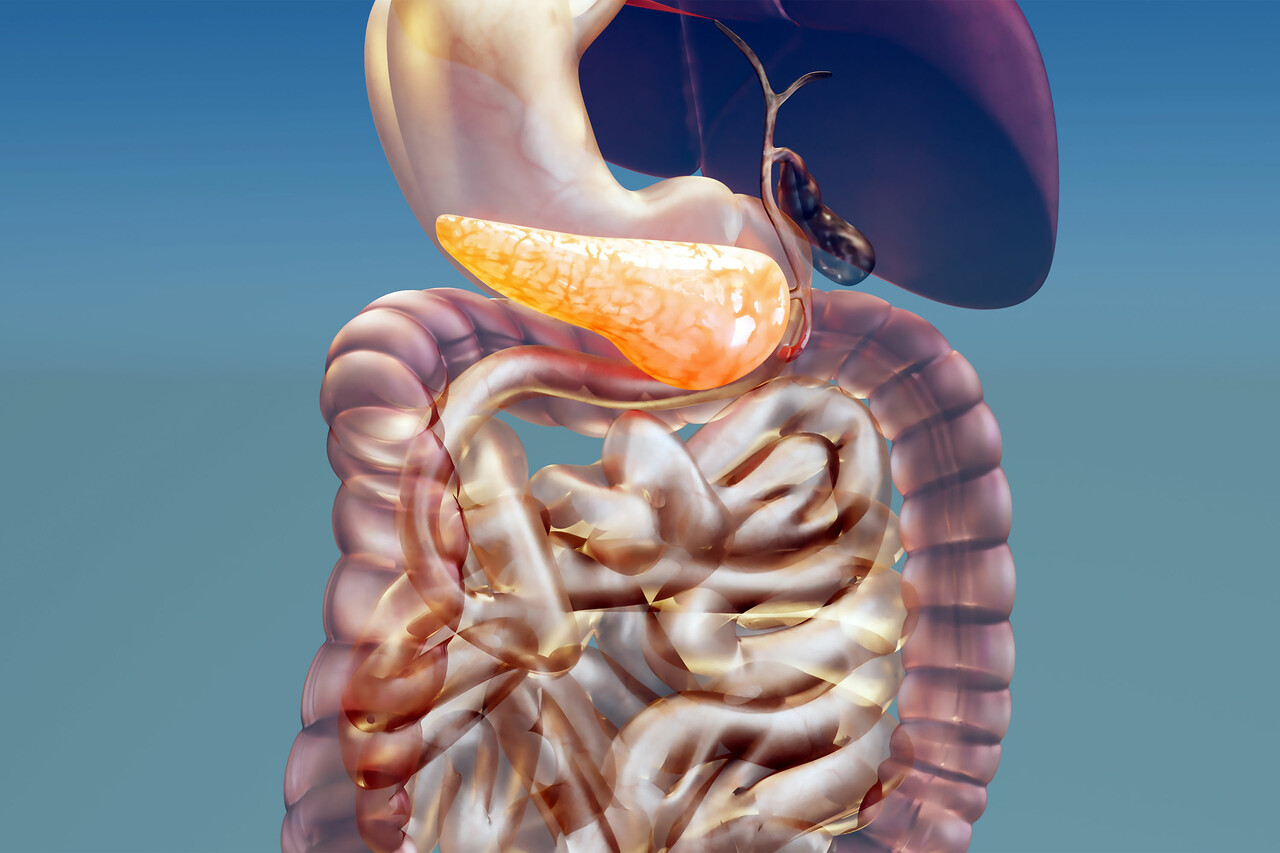 Enzymes tiêu hóa: Bí quyết cải thiện sức khỏe đường ruột